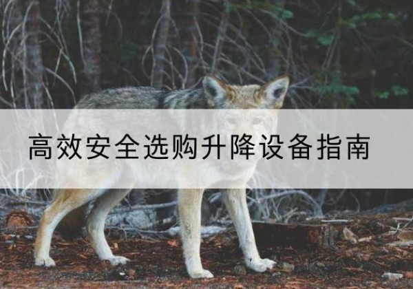 泰山升降货梯厂家推荐-*安全选购升降设备指南