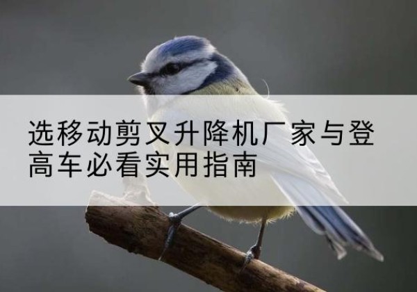 泰山电动升降机厂家-选移动剪叉升降机厂家与登高车必看实用指南