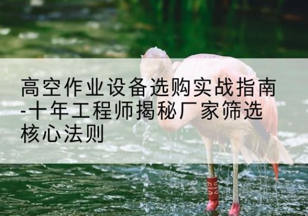 泰山剪叉式升降机厂家-高空作业设备选购实战指南-十年工程师揭秘厂家筛选核心法则